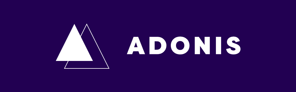 Node.js web framework AdonisJs - custom software development by Acadedigital