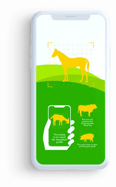 Livestock Management App - created by Acadedigital React Native developers